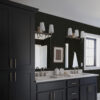 Wall Murals Dark ornament with plants in classic style a00412