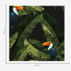 Wall Murals Toucan in Tropical Leaves a00415